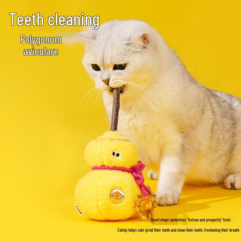 ZEZE Cat Toy Gift Box Collection