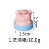 6Pcs/set Creative Cute Study Piggy Doll Miniatures Resin Animal Ornaments DIY Fairy Garden Decoration Micro Landscape