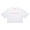 Marni Kariertes Logo Crop Damen S T-Shirt Thje0333p6 uScx52 G1w01