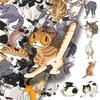 50Pcs/Set Naughty Cats Series 01. Scratch Marks PET Stickers Waterproof DIY Fashion Doodle Decals Stickers