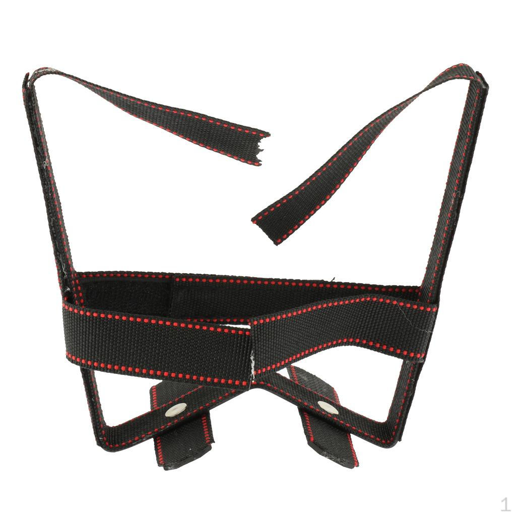 

Инструменты для ухода – нежная поддержка для всех пород и размеров XL