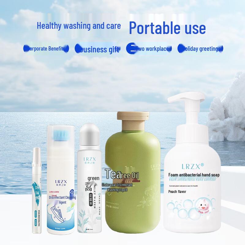 Lianrou Zhixin 5-Piece Antibacterial Summer Cleaning Kit