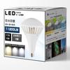 Becuri LED – Becuri și tuburi LED