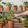 3Pcs Plant Support Frame Set for Climbing Houseplants Flexible Design for Vine Growth and Fixing In Flowerpots