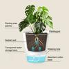 Flowerpot with Open Water Pour Port Easy Maintenance Self-Absorbing Double-Layer Water System Thickened Transparent Water Storage