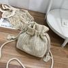 Straw Bucket Small Bag Women's 2025 New Summer Small Fresh Foreign Style Woven Beach Bag Single Shoulder Messenger Bag Tide