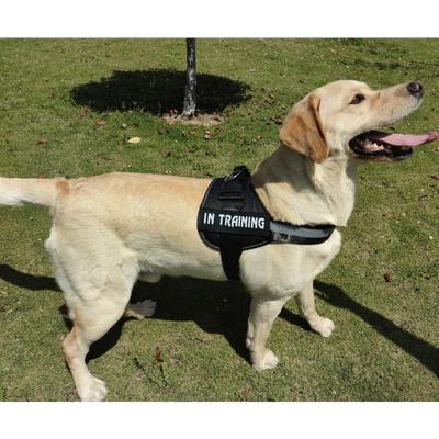 Dog Leash Chest Strap Large  Medium and Small Dog Walking Leash Vest Style Pet Dog