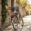 Metal Material Electric Bike Basket Durable Metal Pet Carrier Basket Daily Commuting
