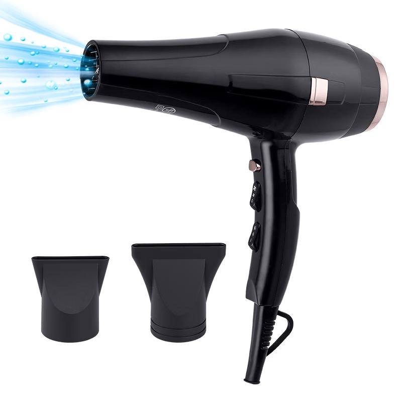 LISM Professional Negative Ion Hair Dryer