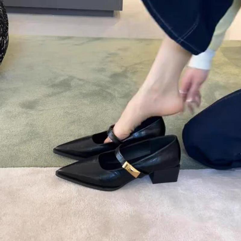 Retro Beautiful  Pumps Low Heeled Pointed Women Single Shoes Shallow Mouth Metal Buckle Pumps Banquet Thick Heel Work Shoes