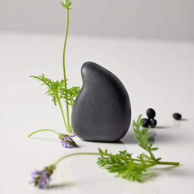 Salzmassage Schwarze Bohne Shampoo-Riegel 90g