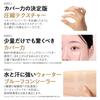 The Saem Japan Official Cover Perfection All-Proof Chip Concealer 1.5 Natural Beige 1195