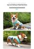 Summer Dog Cooling Vest: Lightweight, Breathable Heat Relief for Pets