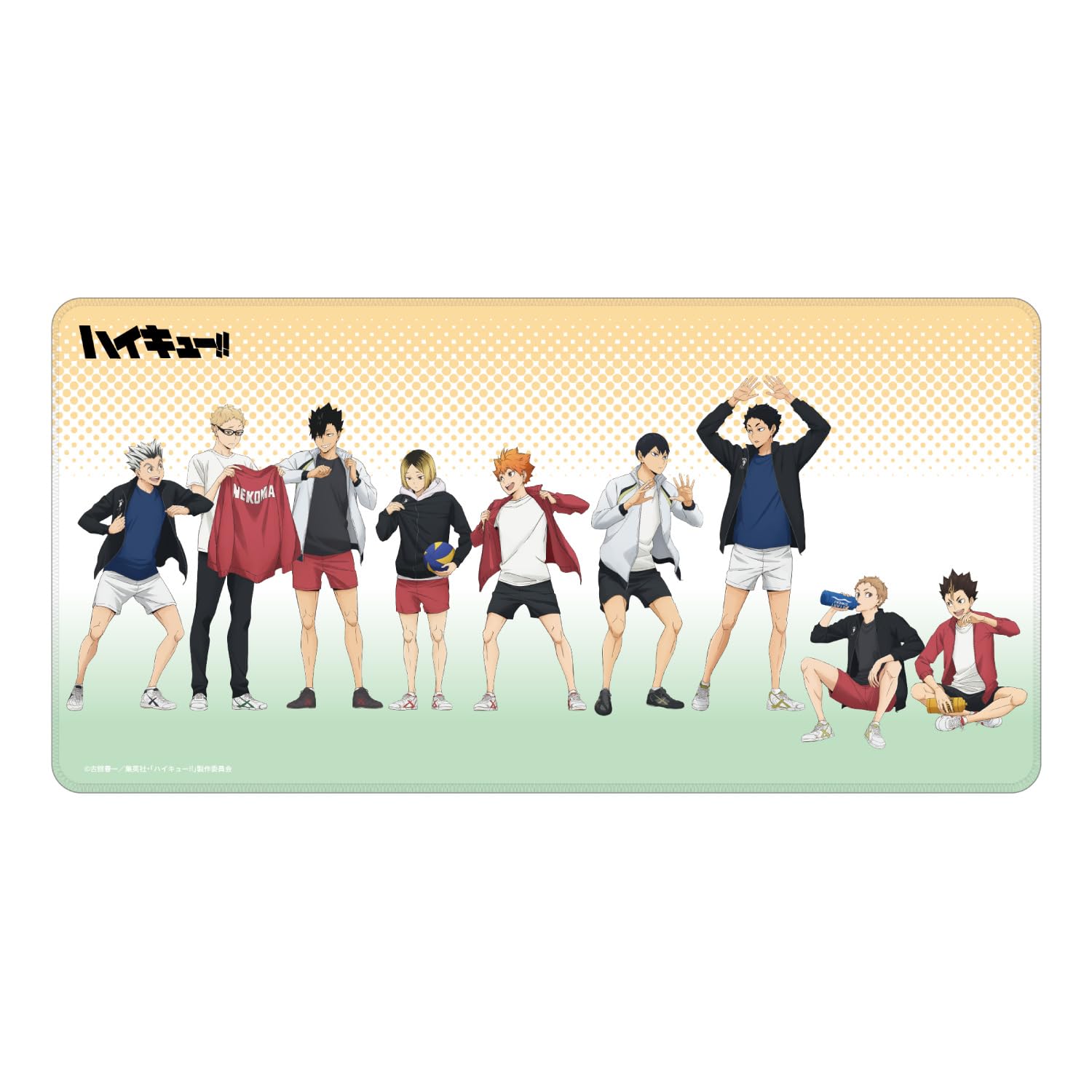 Gourmandise Desk Mat Haikyu!! (Group Photo) BHIK-17A