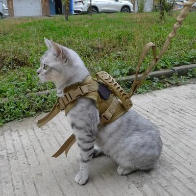 Tactical Cat Harness for Outdoor Walking Adjustable Escape Proof Pet Vest Breathable Cat Chest Strap with Handle for Small Large Cats