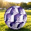 Personalized Size 5 Football Austria Wien FC Pattern Outdoor Game Sports Ball Gift