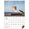 Art Print Japan 2027 Flying Cats Wall Calendar, Jumping Cat Photography Paper Calendar 260x370mm