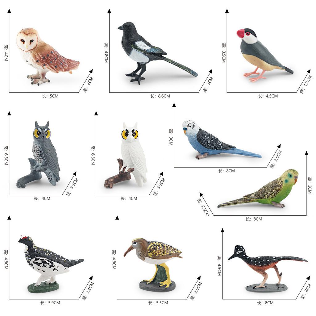 Exquisite Realistic Bird Models In Pvc Material Showcasing Colorful Parrots Owls And Songbirds