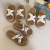 Crossed Platform Slippers Female 2025 Summer New with Skirt Fairy Wind Beaded Casual Beach Cool Slippers