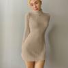 Mini Dress Autumn Winter Warm Knitted Sweater Dresses Women Elastic Turtleneck Long Sleeve Bodycon Dresses