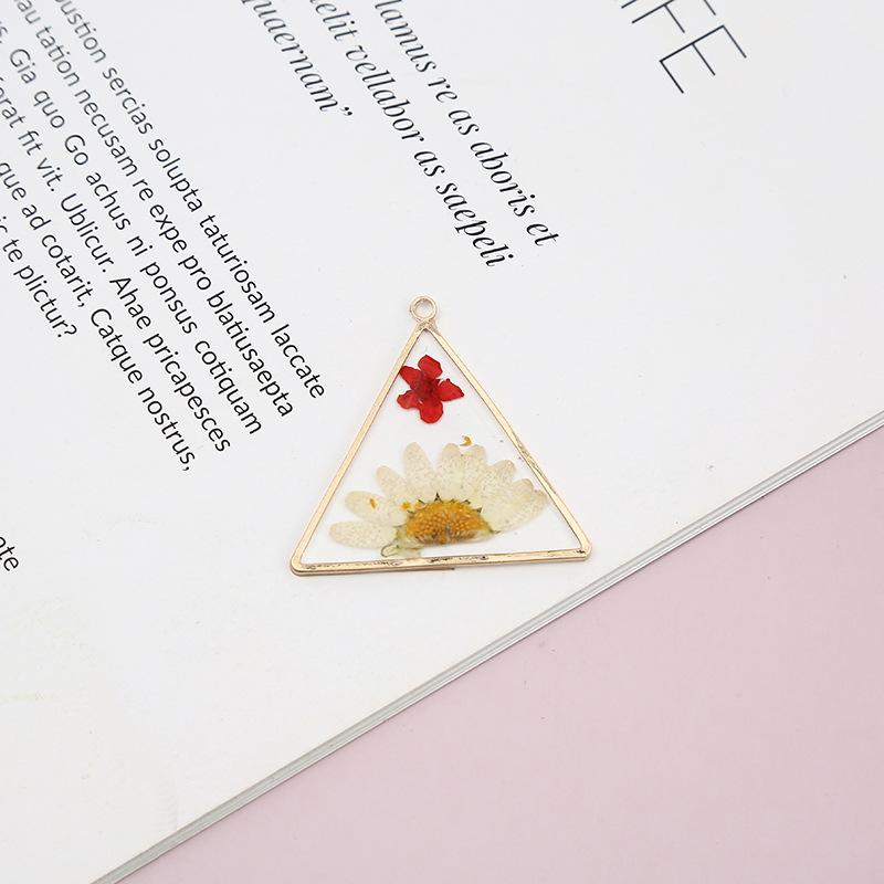 Womens Earrings Pendant 2023 Blingbay Retro Trend Transparent Resin Natural Dried Flower Earrings Fashion Jewelry Accessories Modern Jewelry Gifts