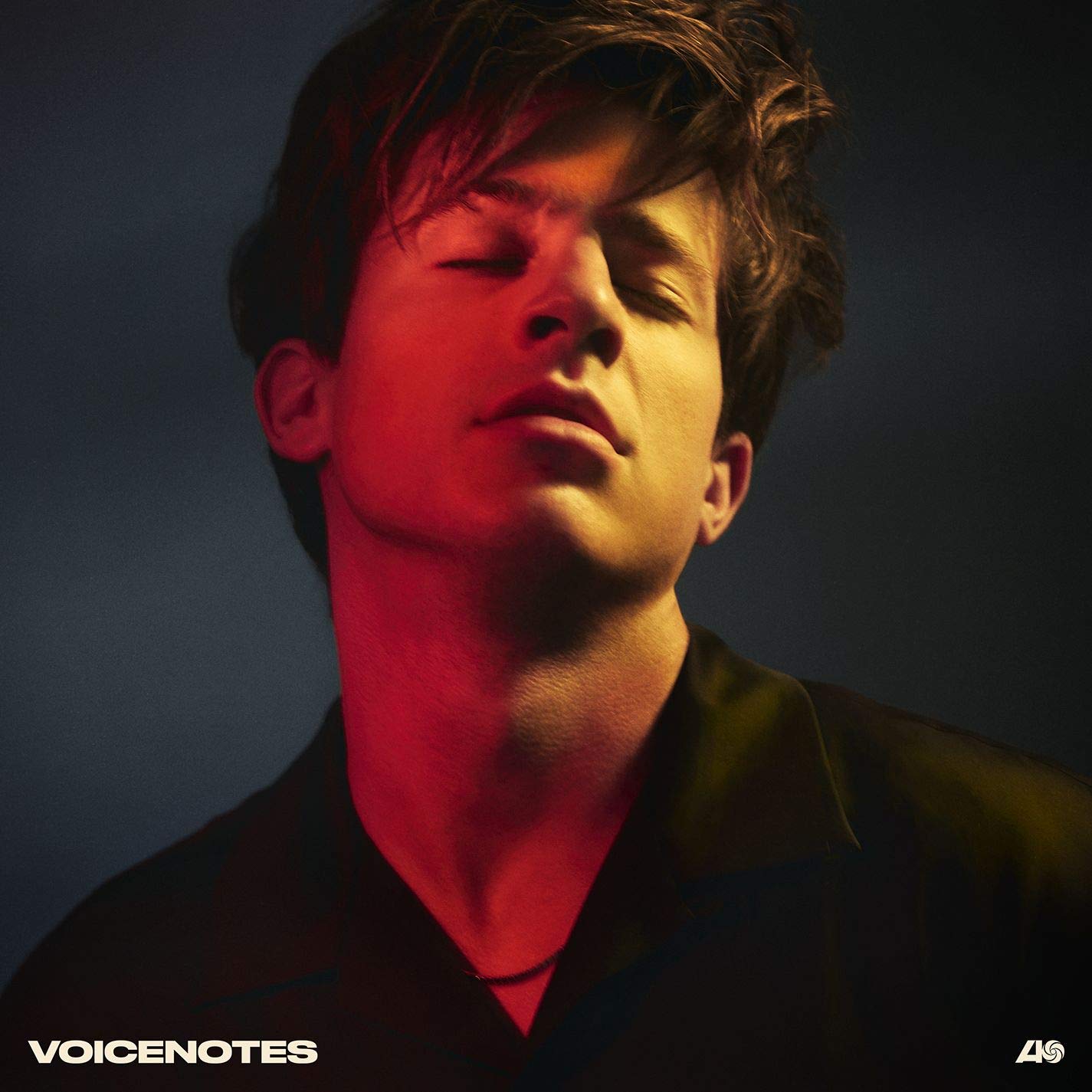 

VOICENOTES [CD]