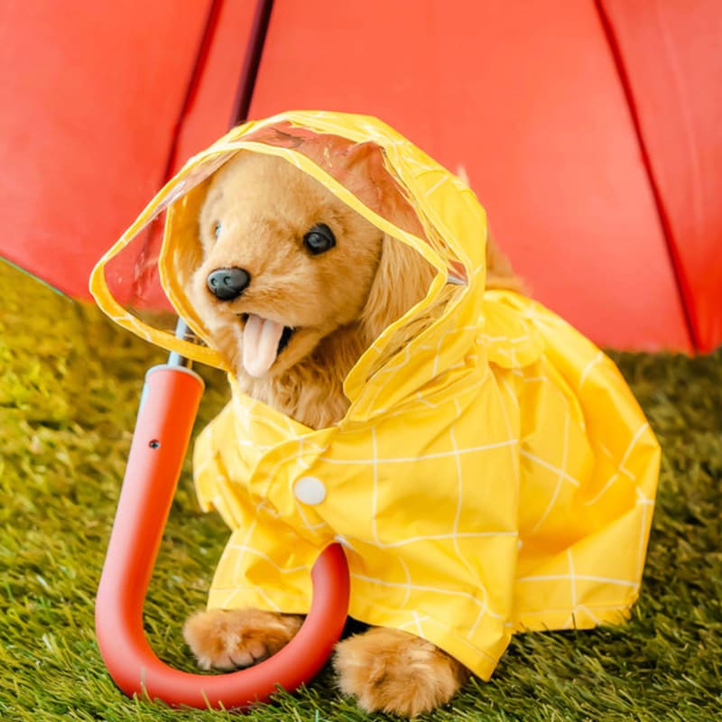 [Pet] Poncho Raincoat M