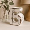 Wooden Birthday Number 6