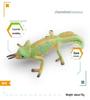 Cross-Cultural Reptile Model Set: Iguana, Chameleon, and Bearded Dragon for Kids' Cognitive Development with Card