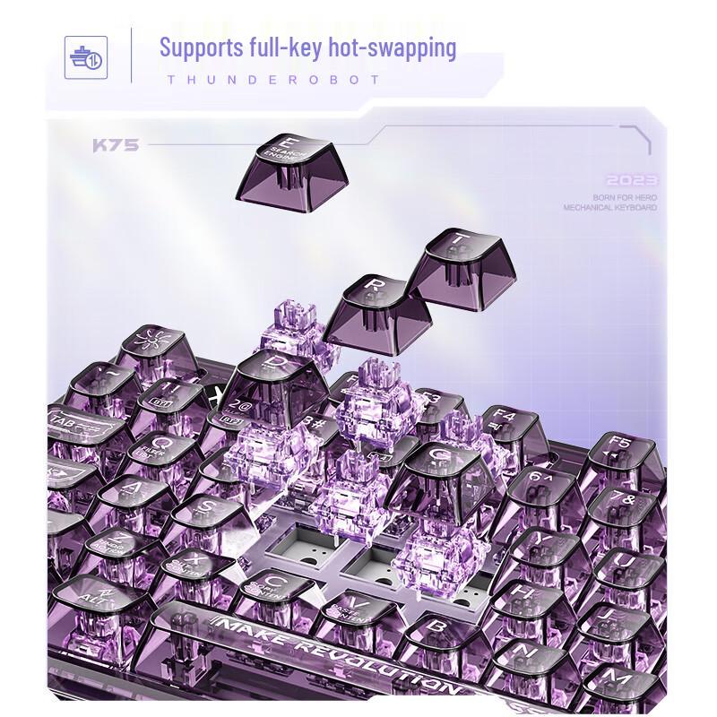 ThundeRobot Custom Mechanical Keyboard