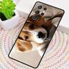 Beagle Dog Lovely Puppy Puppies Phone Case for Samsung Galaxy note 10 pro S26 Ultra S23 S24 FE S25 S21 S22 PLUS shockproof Cove