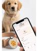 NFC Pet Tag: Metal ID Tag for Dogs and Cats - Anti-Loss Pendant to Share Pet Info