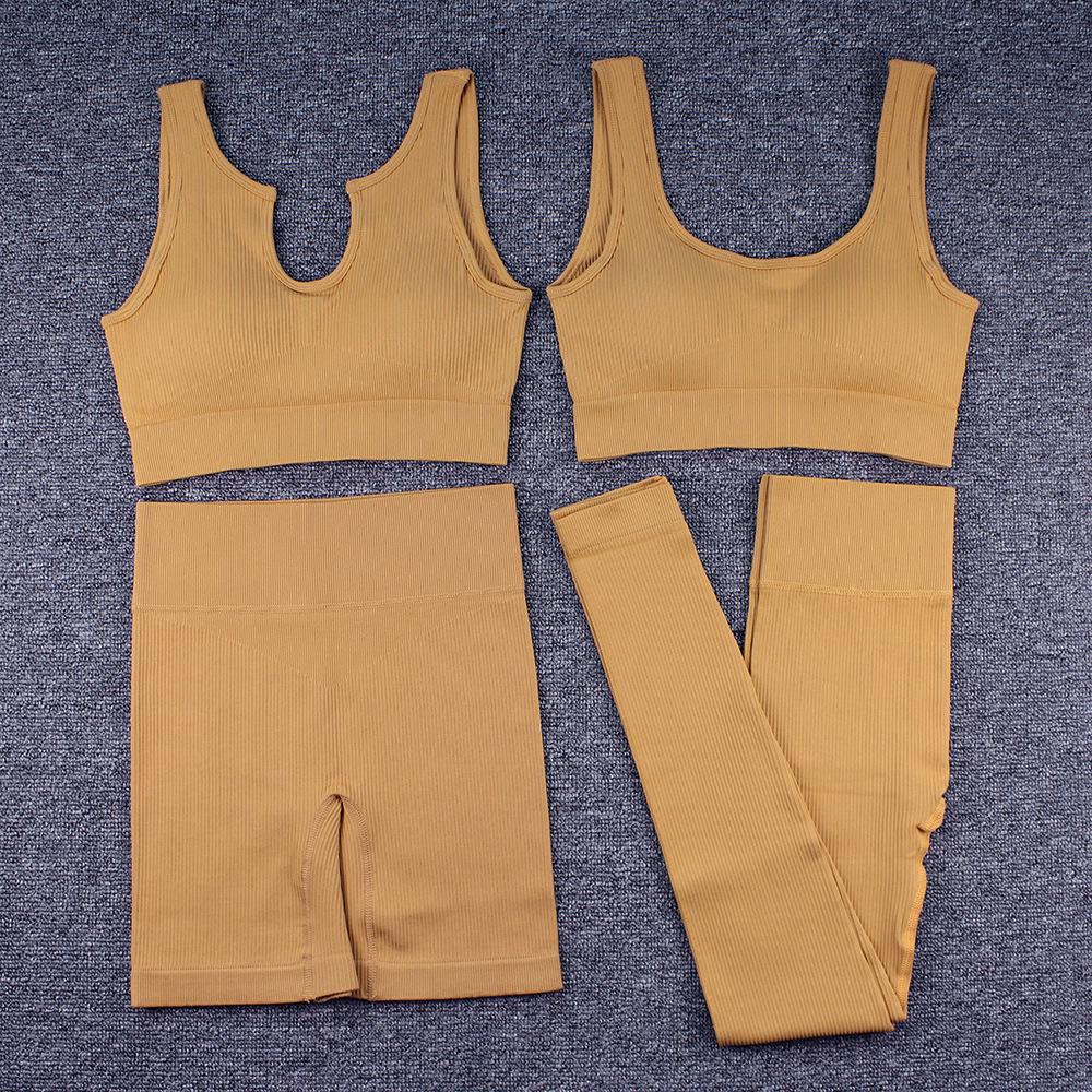 Women's Ribbed Seamless Yoga Set: Striped Sports Bra, Tank Top, Long Pants, and Shorts