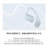 Radius HP-H300BT Completely Wireless Earphones: Hear-scape Series Bluetooth Compatible, Earhook Type, Listen while not blocking your ears, Compact,