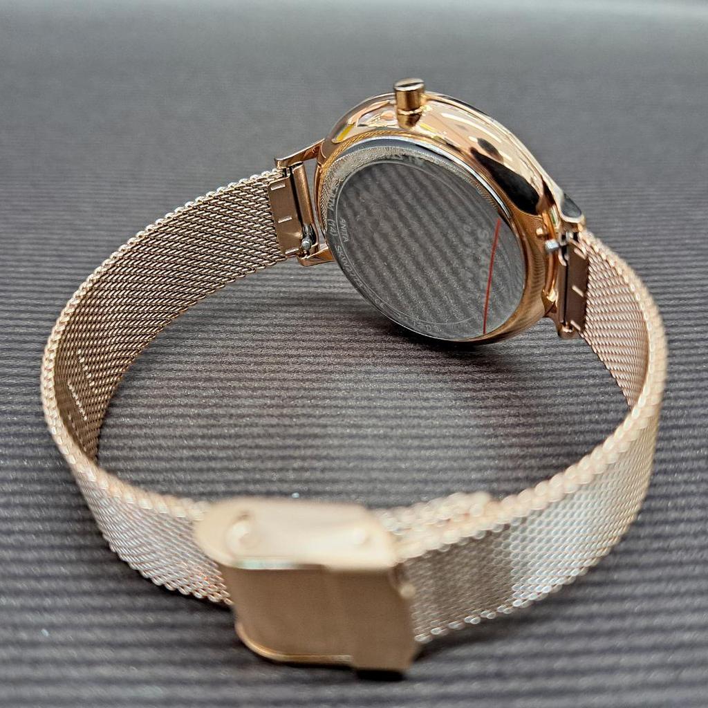 Used [New] SKAGEN SKW2773 Women's with manufacturer's warranty