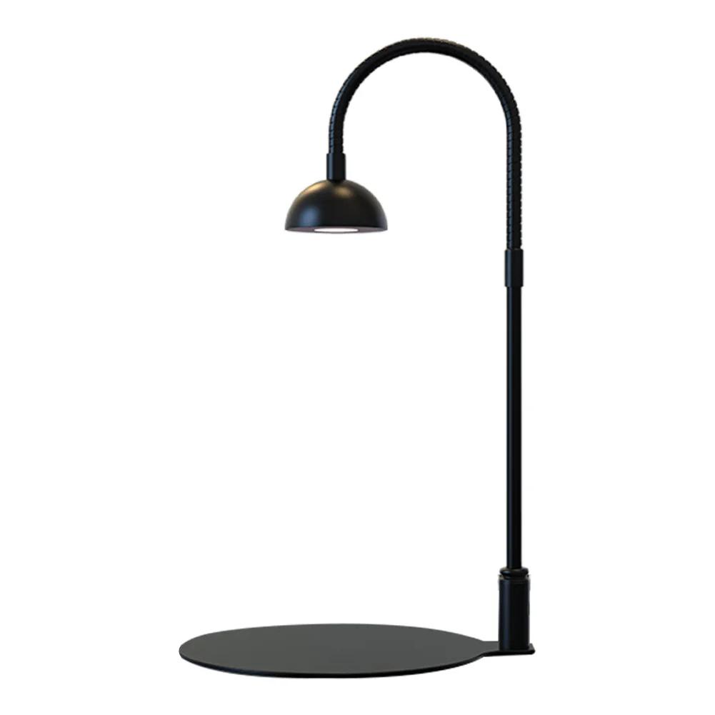 Indoor Plant Growth Lamp with Timmer Full Spectrum Plant Lamp Small Plants Growth Light for Desktop Glass Plant Terrarium