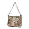 Gradient Snake Pattern Small Shoulder Bags 2025 New Fashion Chain Bucket Bag Street PU Leather Women'S Bag