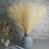 PropBackground Vase Decorations Home Garden Reed Flowers Simulation Flower Pampas Grass Fake Plant