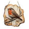 Bird Hanging Sign Vintage 2D Bird Wooden Signage Rustic Wall Decoration Sign for Farmhouse Home Front Door Wall Window