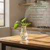 Clear Glass Flower Vase Transparent Minimalist Fluted Design for Wedding Centerpiece Coffee Table Home Decoration