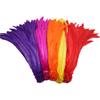 14-16inch/35-40CM Rooster Feathers for Crafts Carnival Dancers Christmas Plume Home Celebration Jewelry Plumes