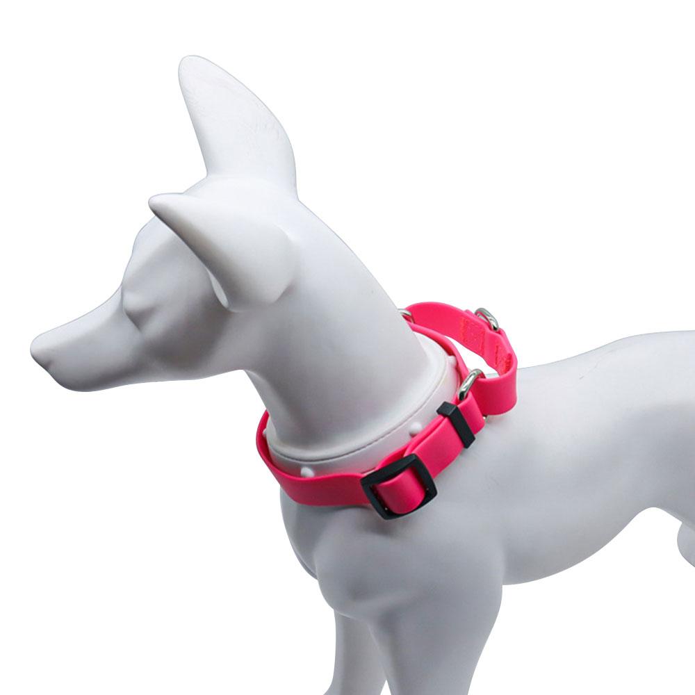 PVC Waterproof Dog Collar Nylon Comfort Pet Collar With Handle for Small Medium Large Dogs