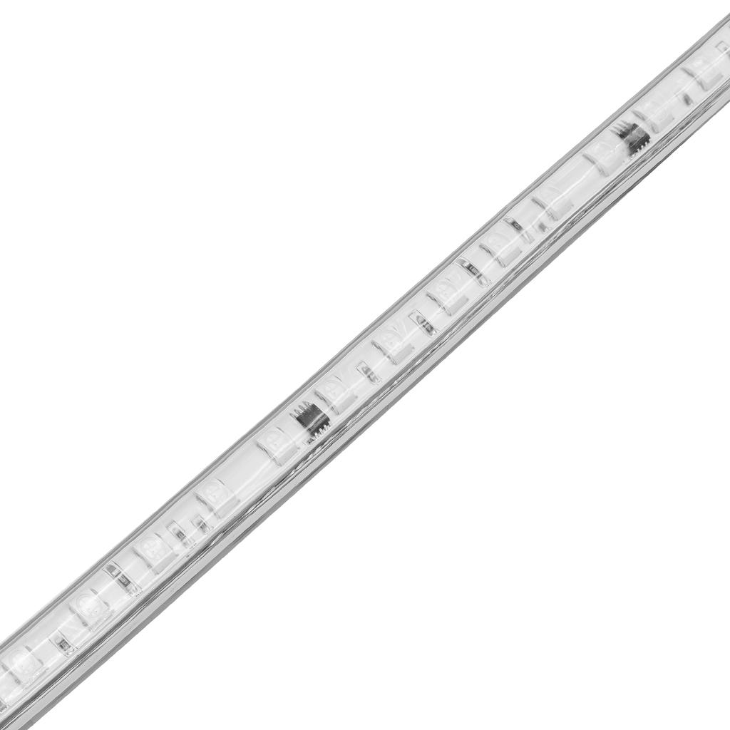 LED strip 1m 220V RGB CCT SMD5050 60LED/m 14W/m 10mm