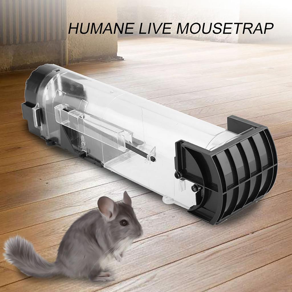 Mus Möss Råtta Gnagare Djurkontroll Fångst Bete Human Levande Fällor Hamsterbur