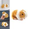 Lifelike Orange Guinea Pig Plush Toy For Children's Collection Gifts