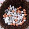 Miniature Dollhouse Bird & Duck Egg Set - Quail & Small Birds for DIY Landscape Scenes
