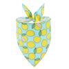 Pet Saliva Towel Fruit Print Adjustable Triangle Scarf Cat Dog Bandanas