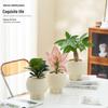 Retro High-Leg Ceramic Flower Pot for Phalaenopsis, Green Radish, and Spider Plant in Cream Style