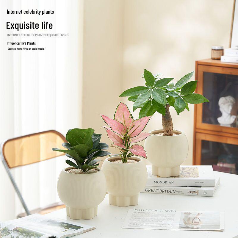 Retro High-Leg Ceramic Flower Pot for Phalaenopsis, Green Radish, and Spider Plant in Cream Style