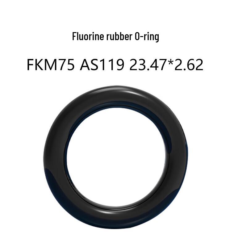 American Standard FKM O-Ring Seal